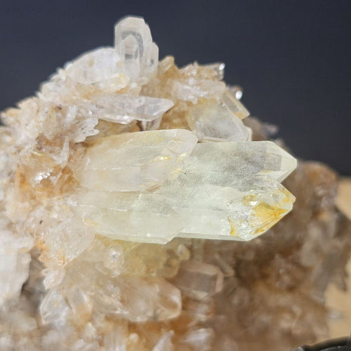 Columbian Golden Healer Quartz | Cluster 1.4kg