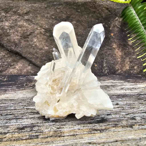 Columbian Quartz Cluster | Blue Rutile Sprays Of Energy