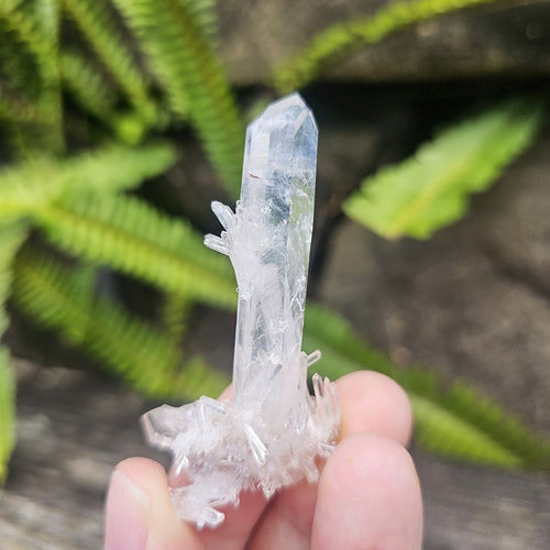 Columbian Quartz Cluster | Blue Rutile Sprays Of Light