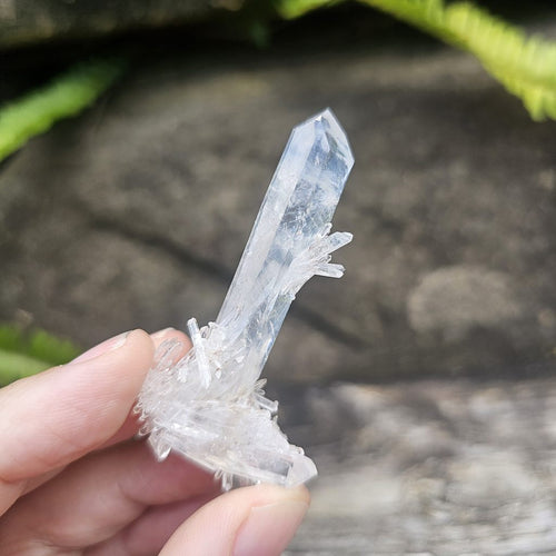 Columbian Quartz Cluster | Blue Rutile Sprays Of Light