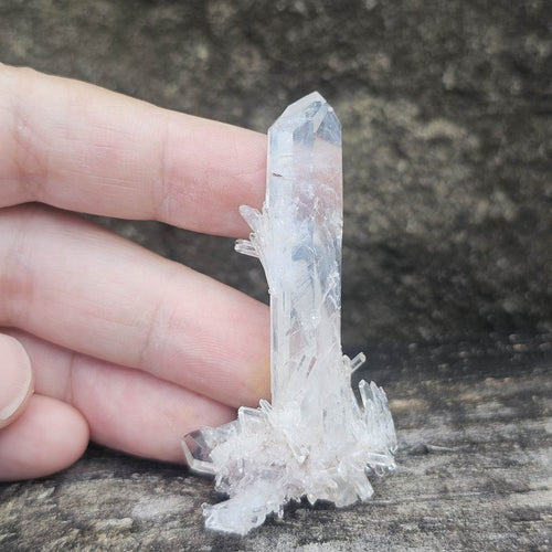 Columbian Quartz Cluster | Blue Rutile Sprays Of Light