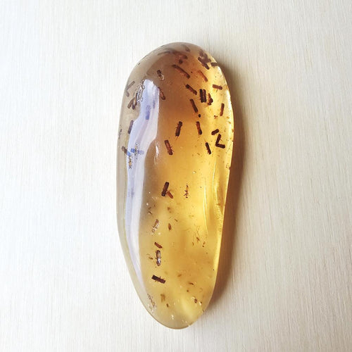 Copal Amber Specimen | Insectum Vitae