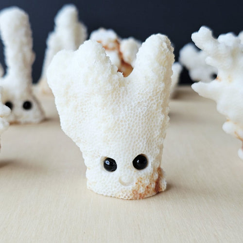 Coral Carvings | Happy Ocean Guardians