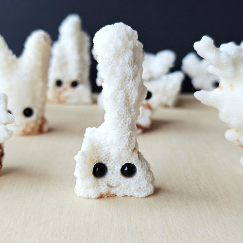 Coral Carvings | Happy Ocean Guardians