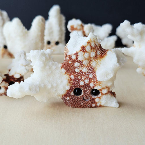 Coral Carvings | Happy Ocean Guardians
