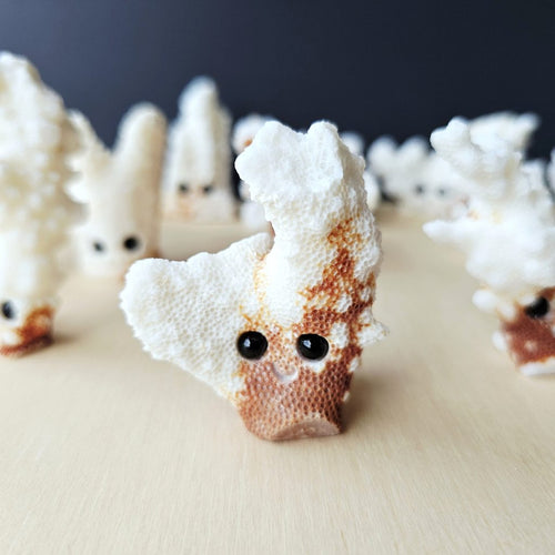 Coral Carvings | Happy Ocean Guardians