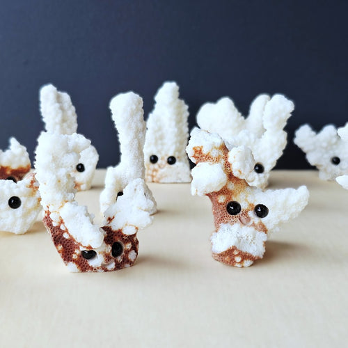 Coral Carvings | Happy Ocean Guardians