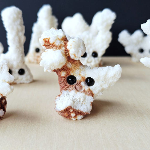 Coral Carvings | Happy Ocean Guardians