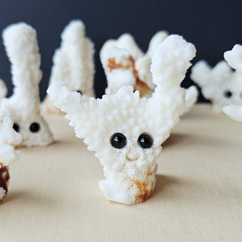 Coral Carvings | Happy Ocean Guardians
