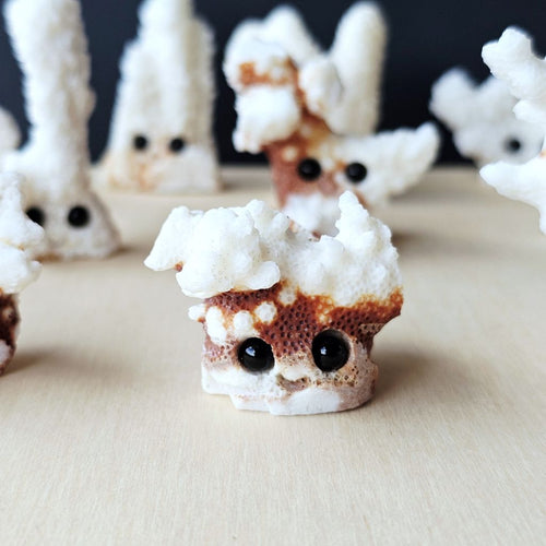 Coral Carvings | Happy Ocean Guardians