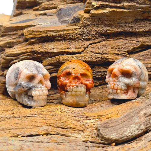 Crazy Lace Agate | Mini Skulls