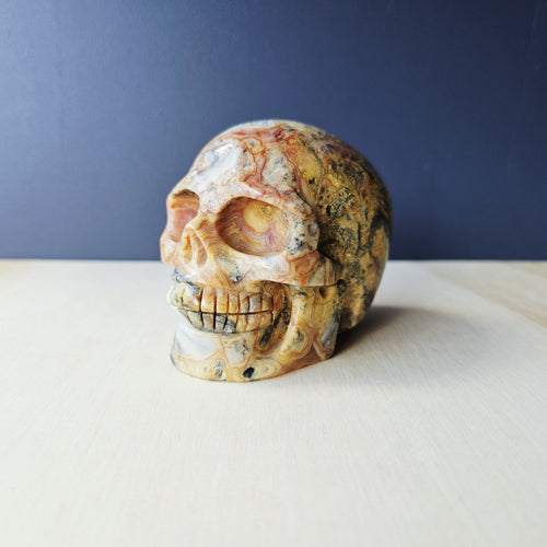 Crazy Lace Agate Skull | The Happy Guardian