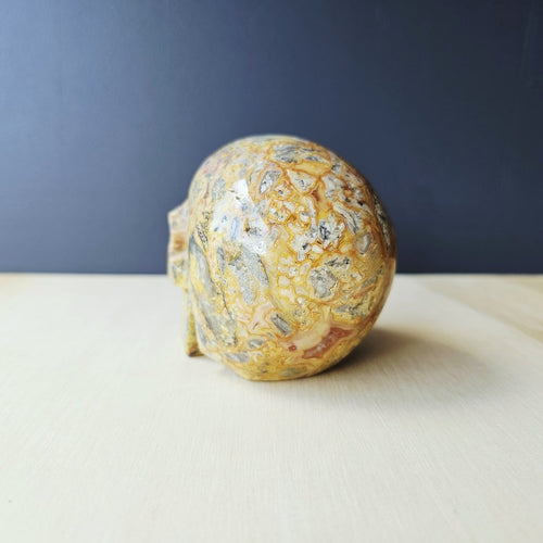 Crazy Lace Agate Skull | The Happy Guardian