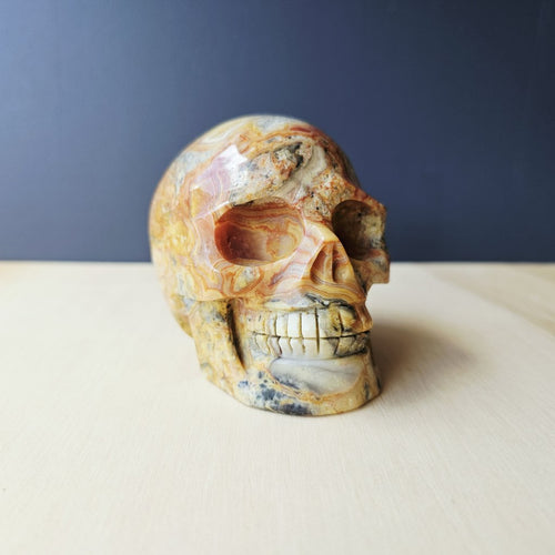 Crazy Lace Agate Skull | The Happy Guardian