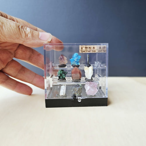 Crystal Specimen Box | Grand Specimen Collection
