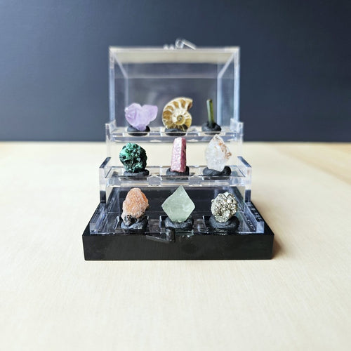 Crystal Specimen Box | Grand Specimen Collection