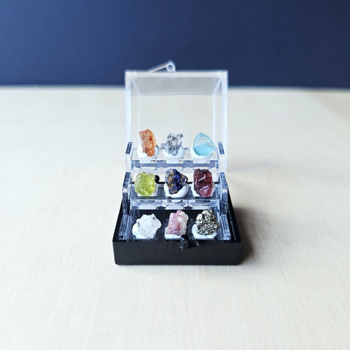 Crystal Specimen Box | Petite Specimen Collection