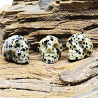 Dalmation Jasper | Mini Skulls