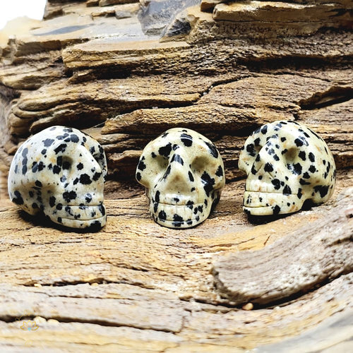 Dalmation Jasper | Mini Skulls