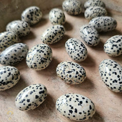 Dalmation Jasper Tumbled Stones