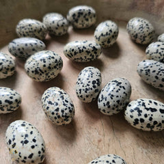 Dalmation Jasper Tumbled Stones