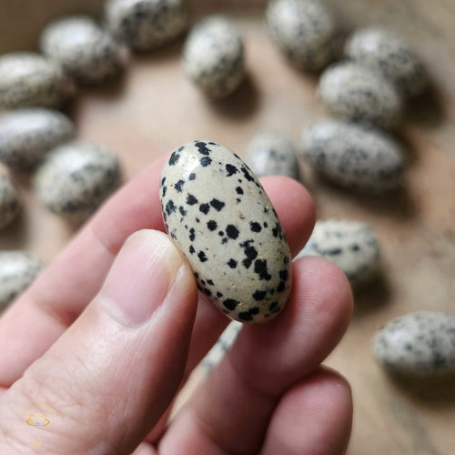 Dalmation Jasper Tumbled Stones