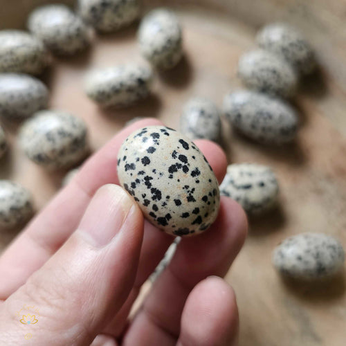 Dalmation Jasper Tumbled Stones