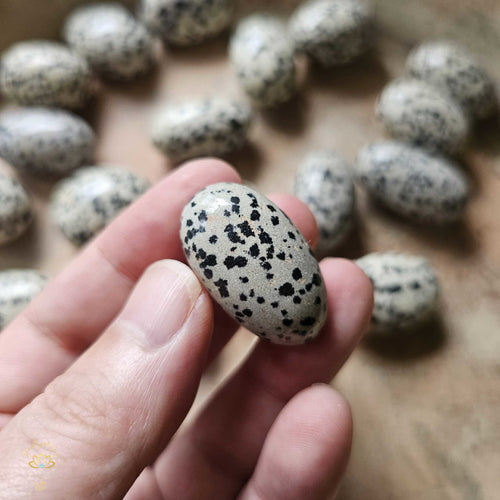 Dalmation Jasper Tumbled Stones