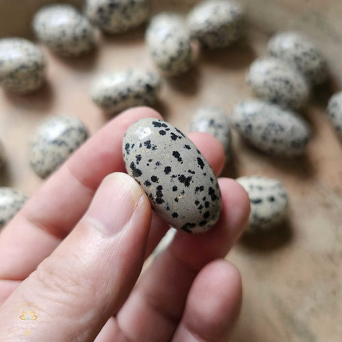 Dalmation Jasper Tumbled Stones