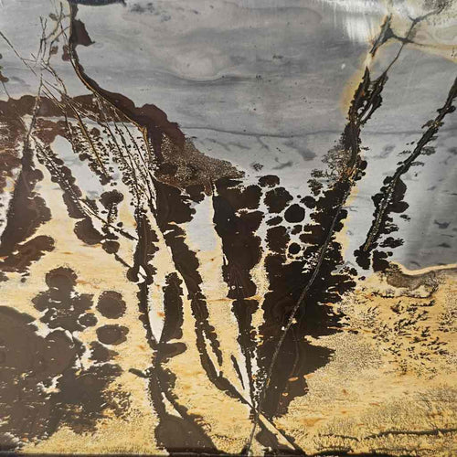 Dendritic Limestone Freeform | Desert Script