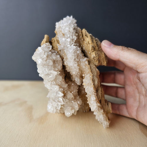 Dogtooth Calcite Stalactite Specimen | The Ascended Layer