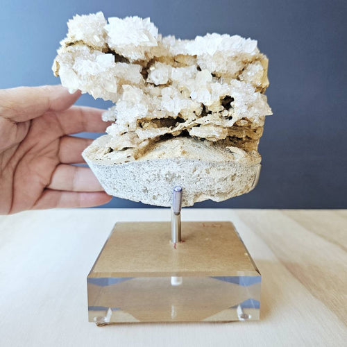Dogtooth Calcite Stalactite Specimen | The Ascended Layer