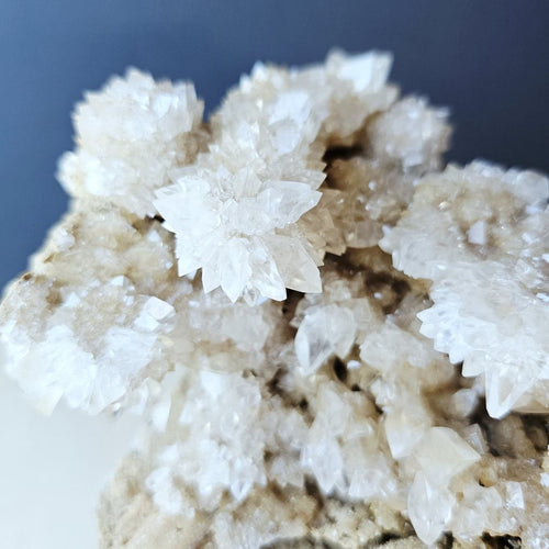 Dogtooth Calcite Stalactite Specimen | The Ascended Layer