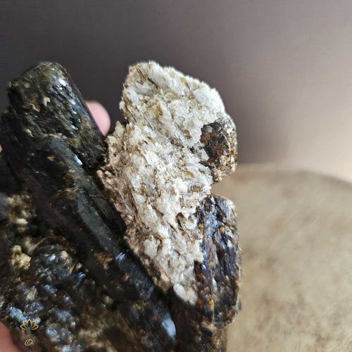 Dravite with Golden Mica | Specimen  578gms