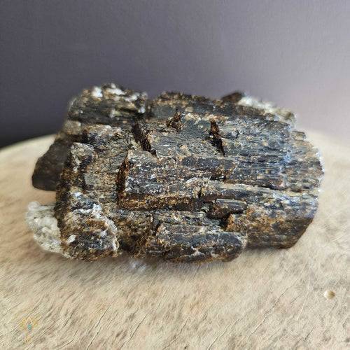 Dravite with Golden Mica | Specimen  578gms