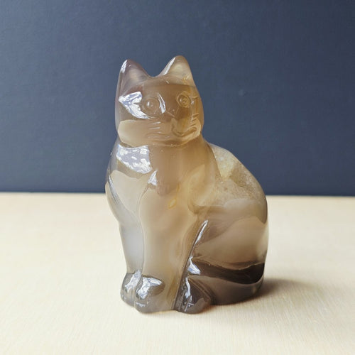 Druzy Agate Cat | Mystic Whiskers 161gms