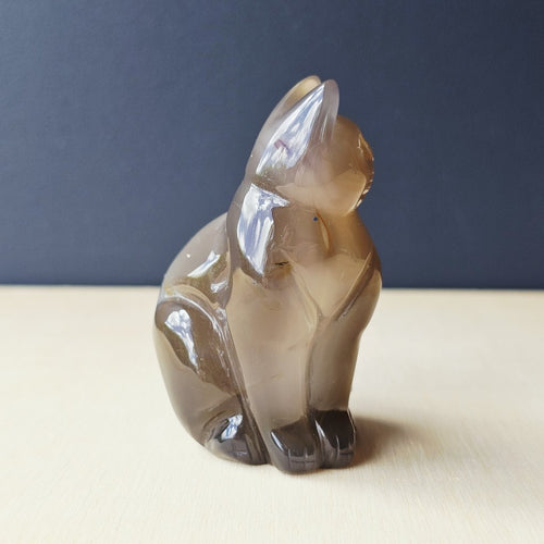 Druzy Agate Cat | Mystic Whiskers 161gms