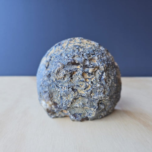 Druzy Agate | Geode 660gms