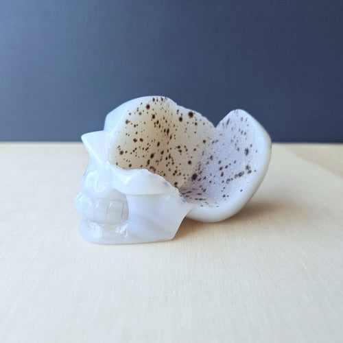 Druzy Agate Skull | Crystal Cave Guardian