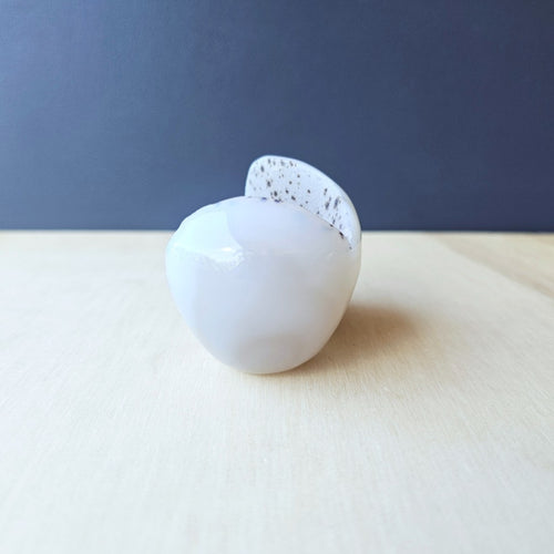 Druzy Agate Skull | Crystal Cave Guardian