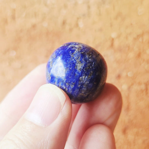 Fire Horse Energy Kit | Power Set