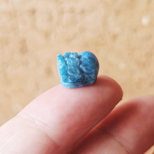 Fire Horse Energy Kit | Power Set