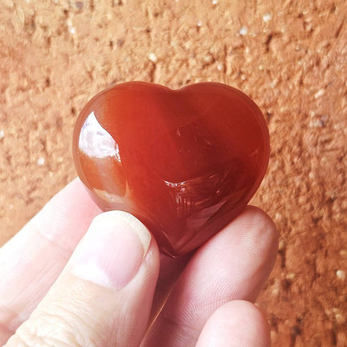 Fire Horse Energy Kit | Power Set