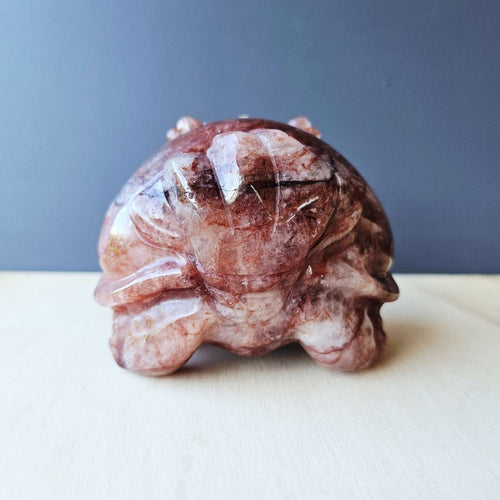 Fire Quartz Dragon Turtle | Ember Guardian