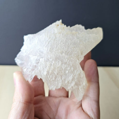 Fishtail Selenite Specimen | Naica's Frequency Of Light