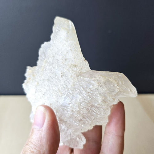 Fishtail Selenite Specimen | Naica's Frequency Of Light