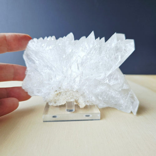 Fishtail Selenite Specimen | Naica's Guardian Of The Deep