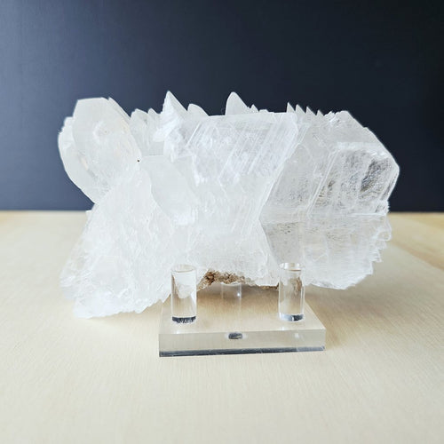 Fishtail Selenite Specimen | Naica's Guardian Of The Deep