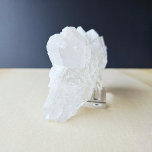 Fishtail Selenite Specimen | Naica's Guardian Of The Deep