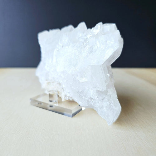 Fishtail Selenite Specimen | Naica's Guardian Of The Deep